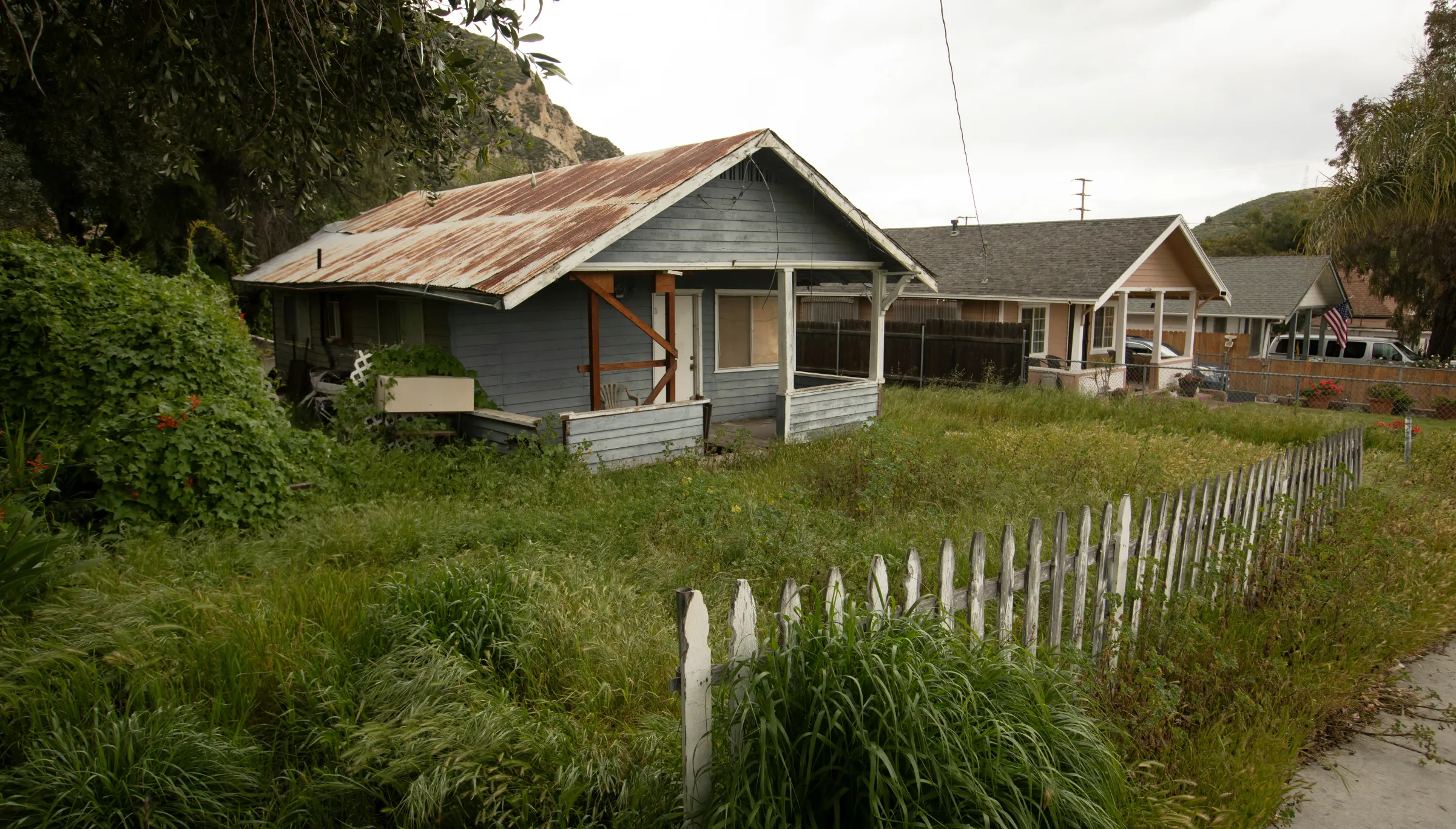 Overgrown residential lot in Dallas TX before land clearing showing dense vegetation and unusable space
